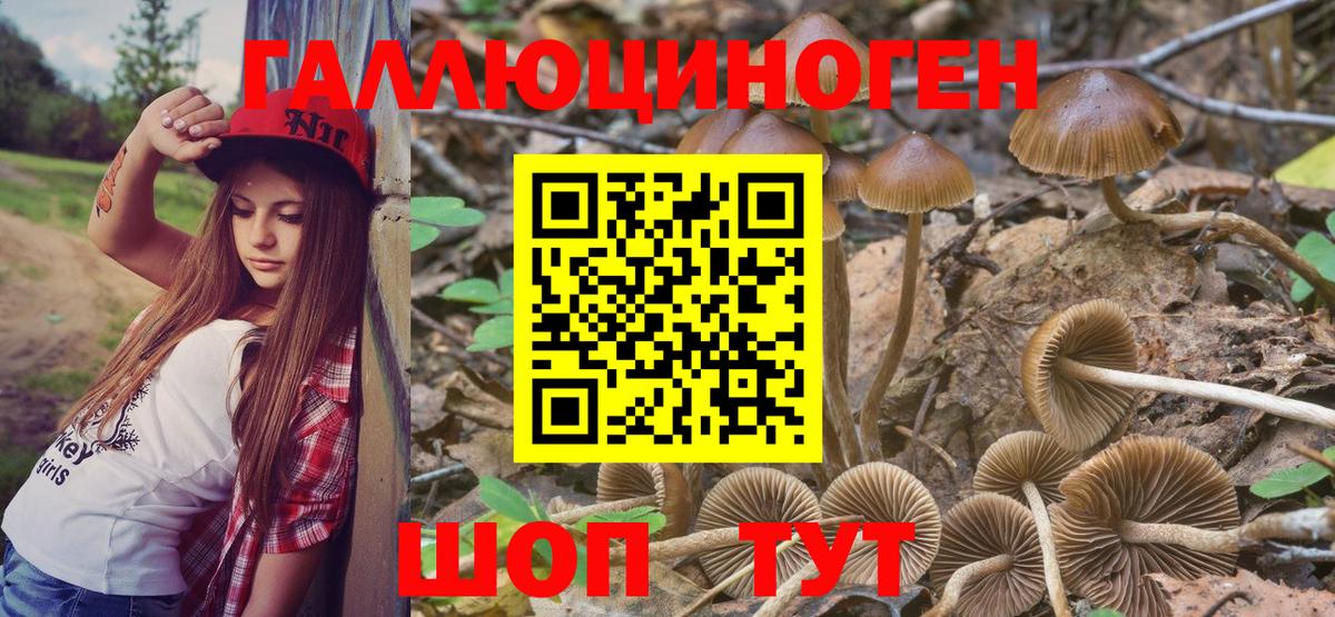 Псилоцибиновые грибы Psilocybine cubensis Острогожск