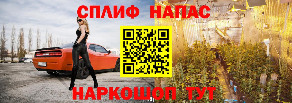 МАРИХУАНА AK-47  Вход с VPN  МАРИХУАНА планчик  Острогожск  Марихуана White Widow 